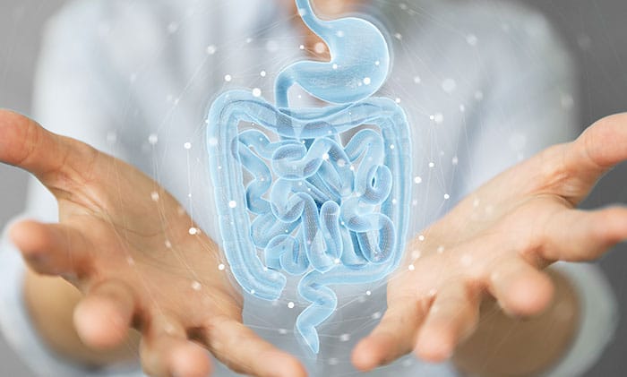 microbiote et sante integrative